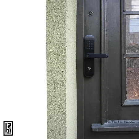 Hifive * Veliko Tărnovo