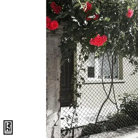 Hifive דירה