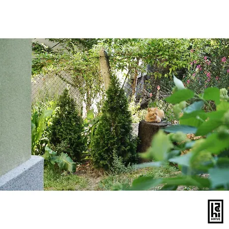 Apartament Hifive *