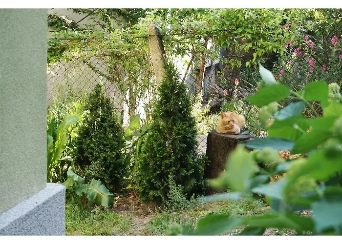 アパート Hifive *